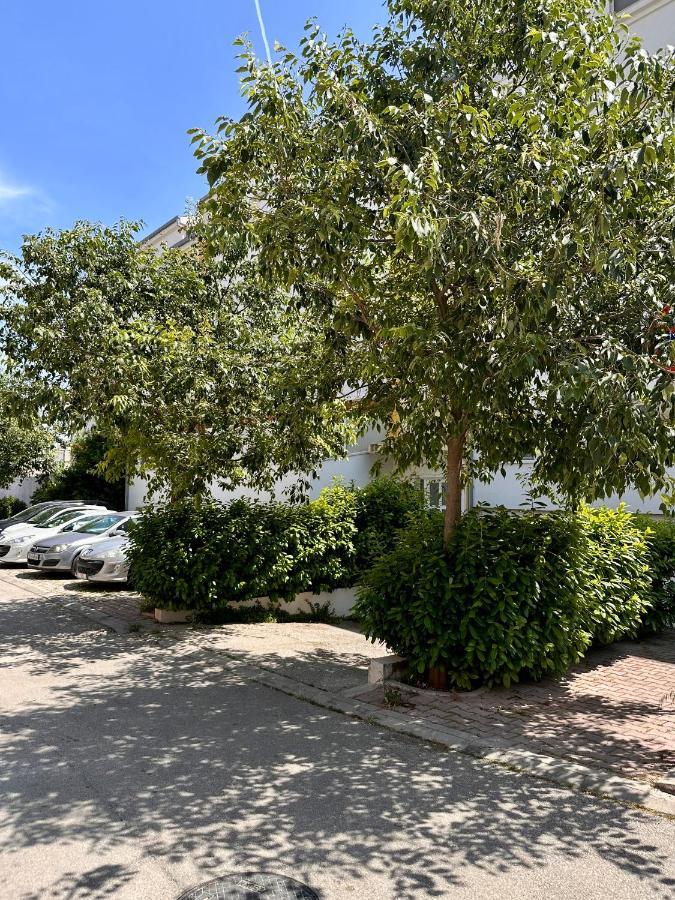 Apartment Tranquilo سبليت المظهر الخارجي الصورة